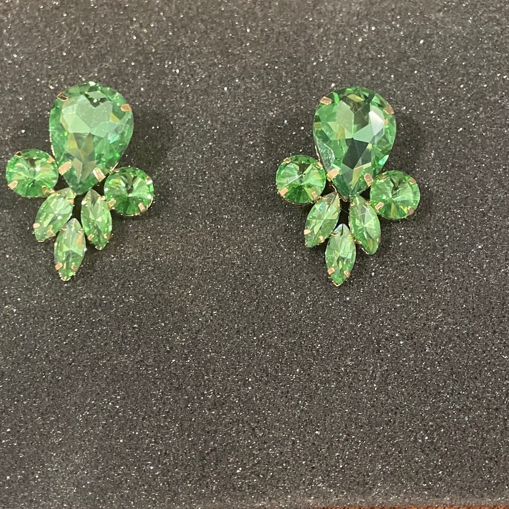 Elegant Green Gemstone Earrings!
New Without Tag! NWT!